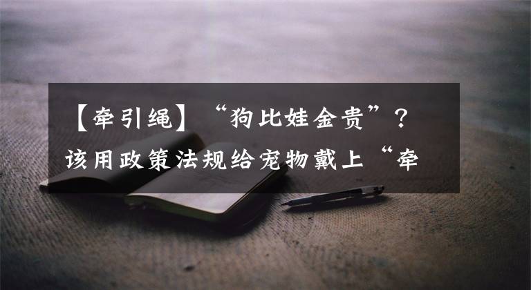 【牵引绳】“狗比娃金贵”？该用政策法规给宠物戴上“牵引绳”