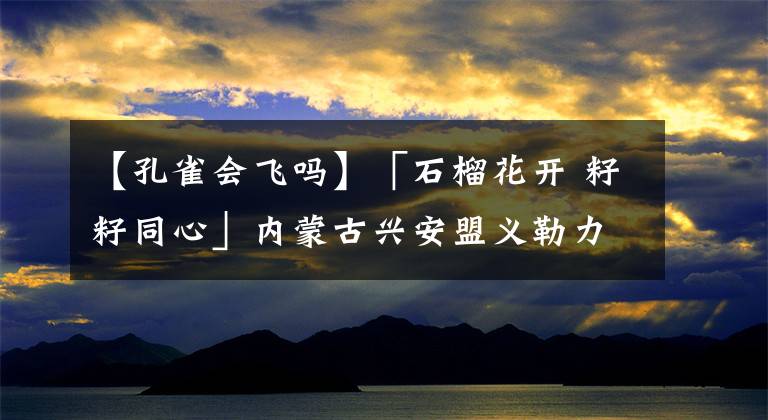 【孔雀会飞吗】「石榴花开 籽籽同心」内蒙古兴安盟义勒力特镇：孔雀“东北飞”的故事