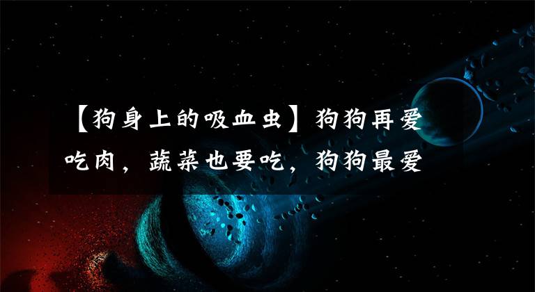【狗身上的吸血虫】狗狗再爱吃肉，蔬菜也要吃，狗狗最爱吃的蔬菜