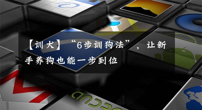 【训犬】“6步训狗法”，让新手养狗也能一步到位