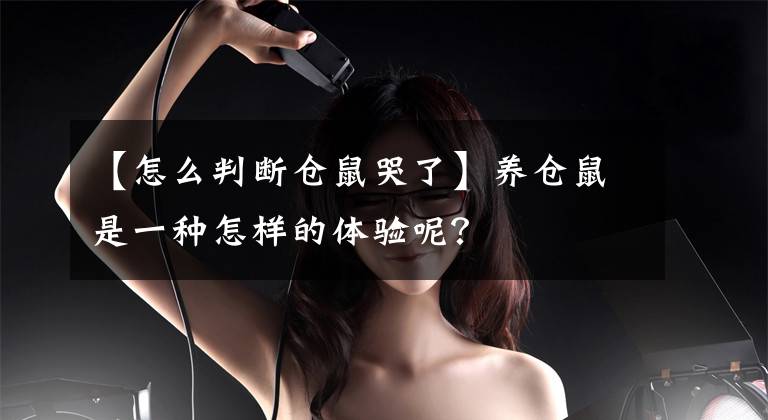 【怎么判断仓鼠哭了】养仓鼠是一种怎样的体验呢？