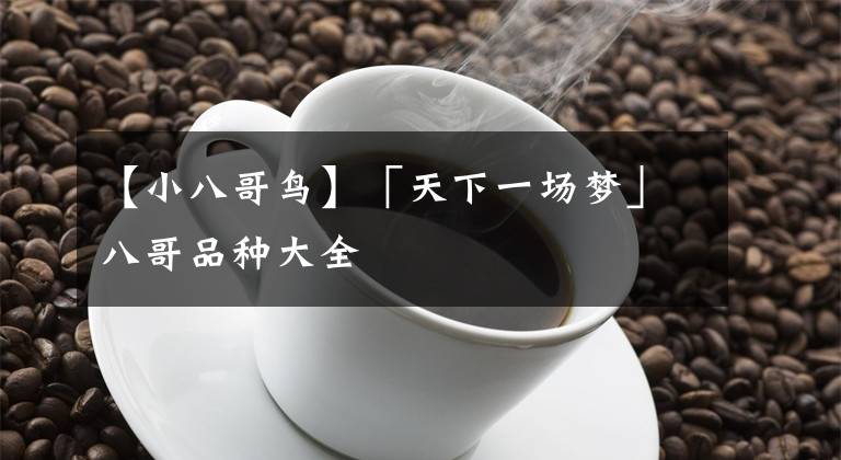 【小八哥鸟】「天下一场梦」八哥品种大全