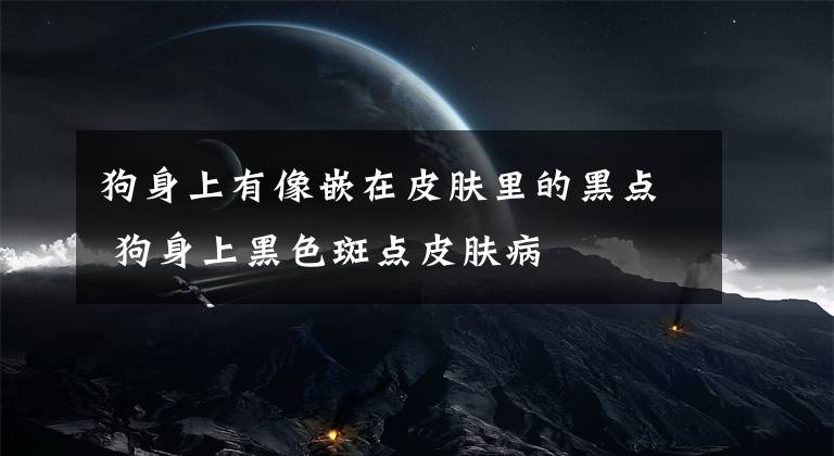 狗身上有像嵌在皮肤里的黑点 狗身上黑色斑点皮肤病