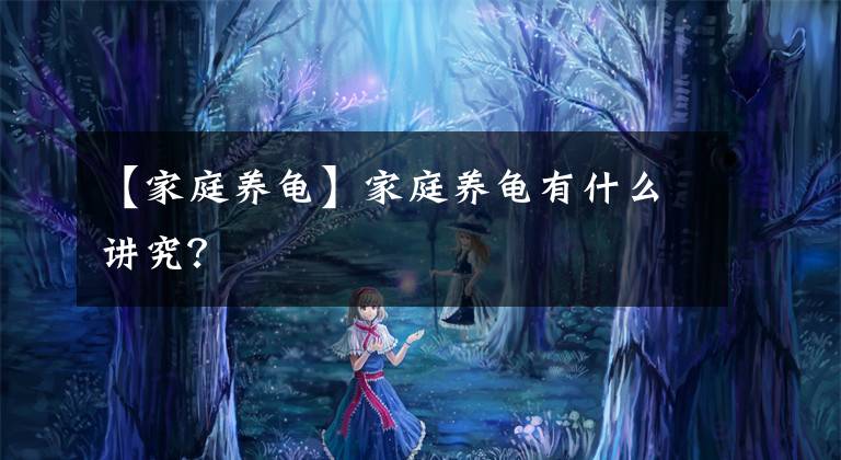 【家庭养龟】家庭养龟有什么讲究?