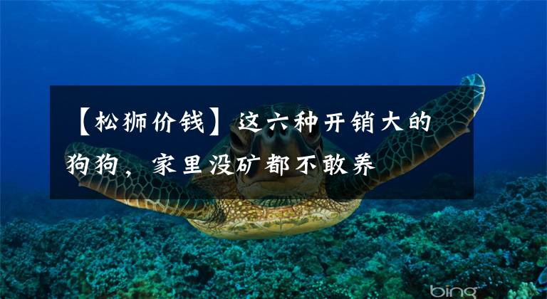 【松狮价钱】这六种开销大的狗狗，家里没矿都不敢养