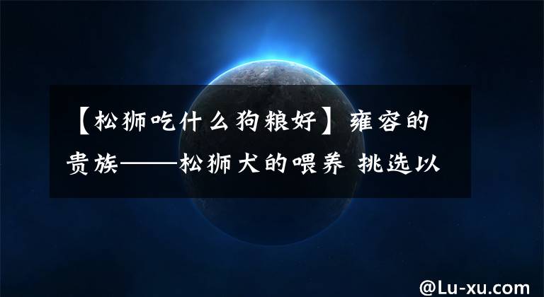【松狮吃什么狗粮好】雍容的贵族——松狮犬的喂养 挑选以及美容注意事项等统统在这里