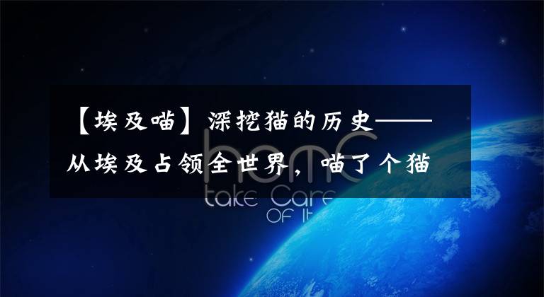 【埃及喵】深挖猫的历史——从埃及占领全世界，喵了个猫！