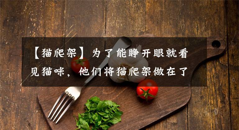 【猫爬架】为了能睁开眼就看见猫咪，他们将猫爬架做在了床上