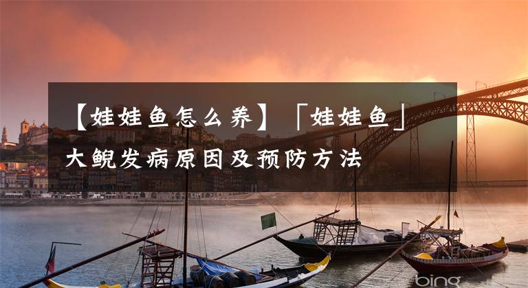 【娃娃鱼怎么养】「娃娃鱼」大鲵发病原因及预防方法