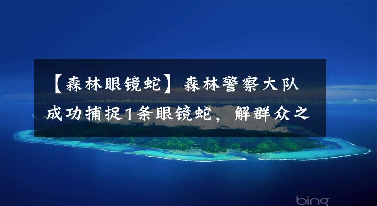 【森林眼镜蛇】森林警察大队成功捕捉1条眼镜蛇，解群众之忧