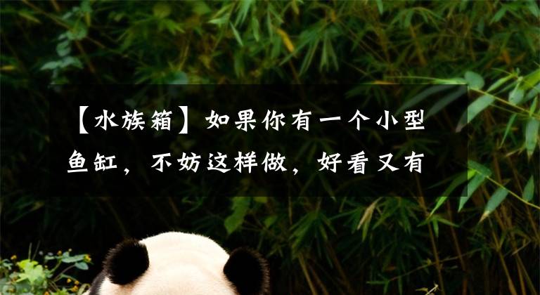 【水族箱】如果你有一个小型鱼缸，不妨这样做，好看又有趣