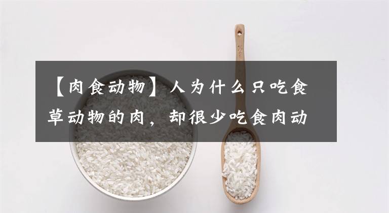 【肉食动物】人为什么只吃食草动物的肉，却很少吃食肉动物的肉？是不好吃吗？