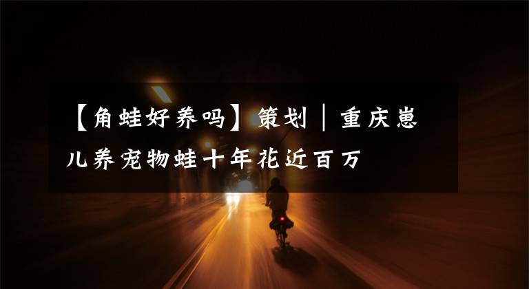 【角蛙好养吗】策划｜重庆崽儿养宠物蛙十年花近百万