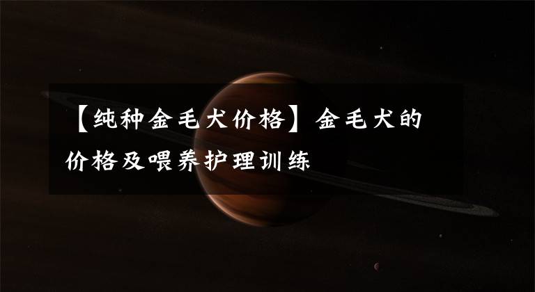 【纯种金毛犬价格】金毛犬的价格及喂养护理训练