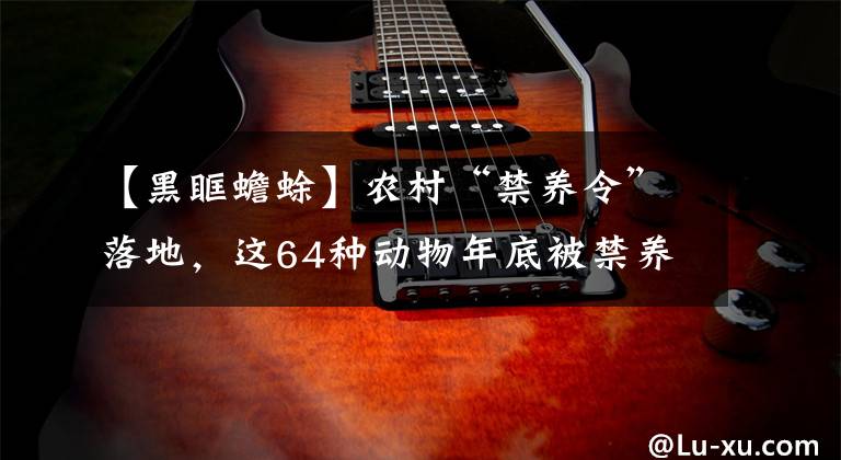 【黑眶蟾蜍】农村“禁养令”落地,这64种动物年底被禁养,对农民有何影响