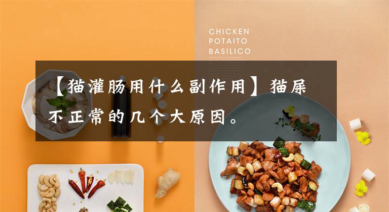 【猫灌肠用什么副作用】猫屎不正常的几个大原因。