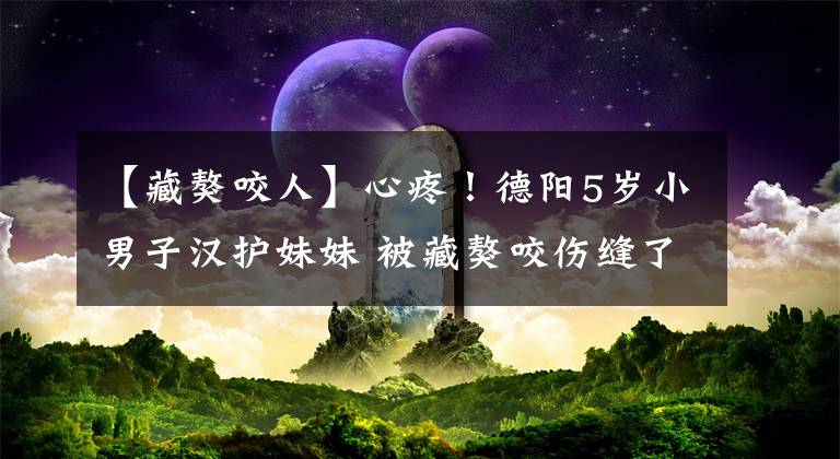 【藏獒咬人】心疼！德阳5岁小男子汉护妹妹 被藏獒咬伤缝了38针