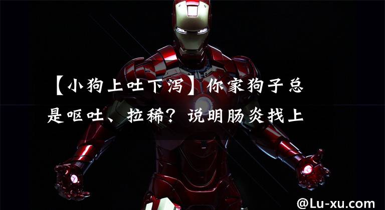 【小狗上吐下泻】你家狗子总是呕吐、拉稀？说明肠炎找上了门！需警惕