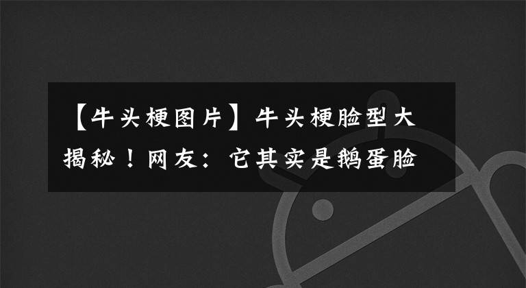 【牛头梗图片】牛头梗脸型大揭秘!网友:它其实是鹅蛋脸
