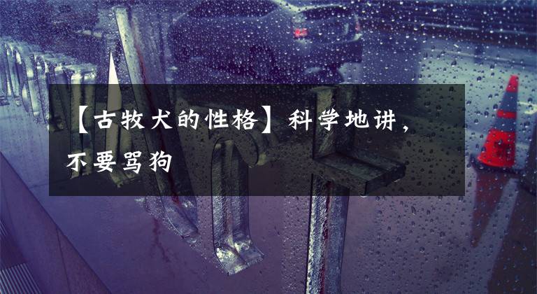 【古牧犬的性格】科学地讲，不要骂狗