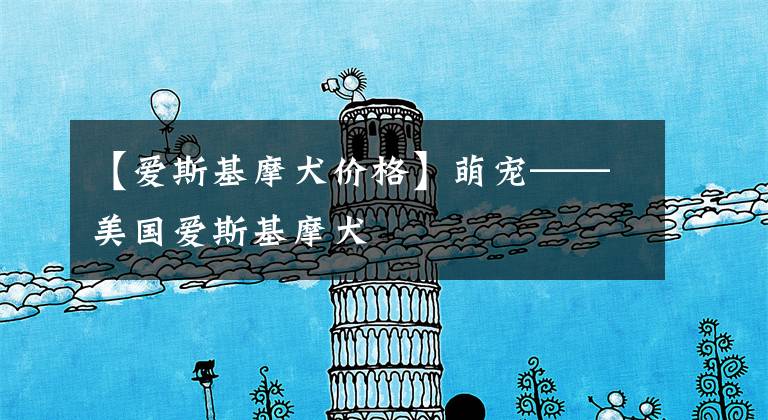 【爱斯基摩犬价格】萌宠——美国爱斯基摩犬