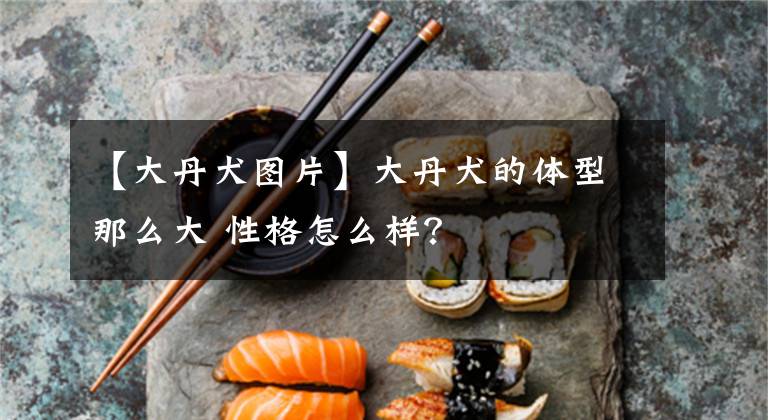 【大丹犬图片】大丹犬的体型那么大 性格怎么样？