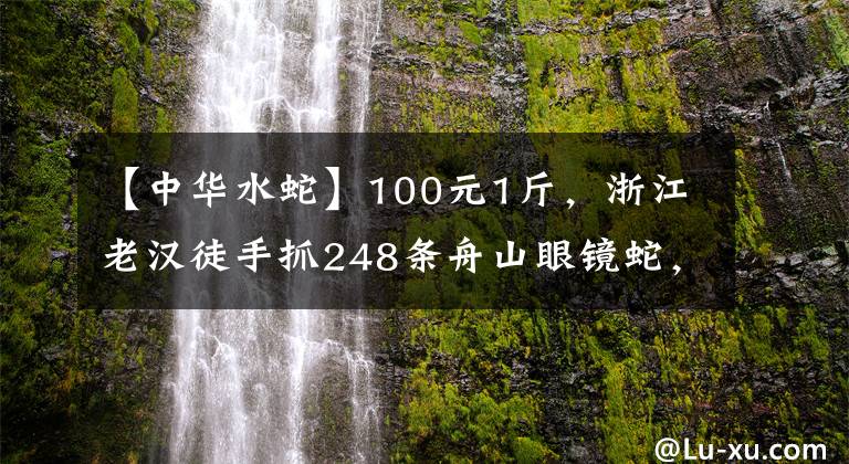 【中华水蛇】100元1斤,浙江老汉徒手抓248条舟山眼镜蛇,为何毒蛇还要保护?