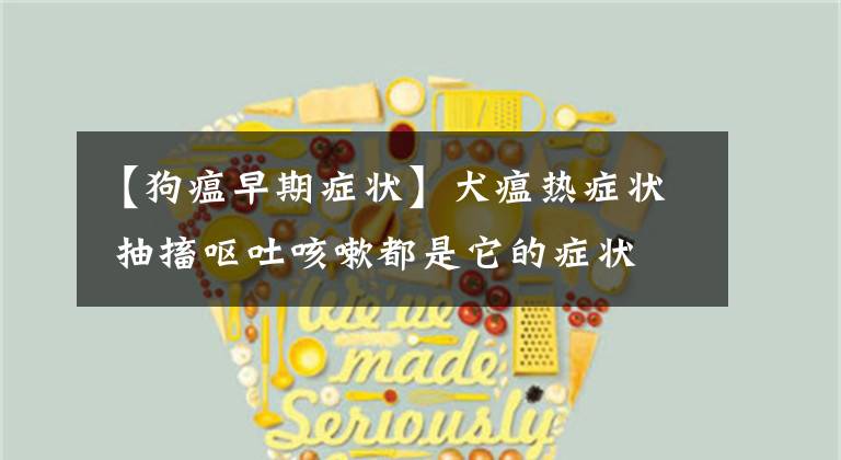 【狗瘟早期症状】犬瘟热症状 抽搐呕吐咳嗽都是它的症状