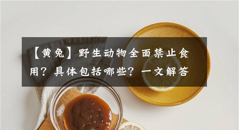 【黄兔】野生动物全面禁止食用?具体包括哪些?一文解答
