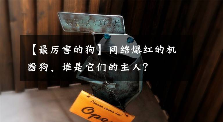 【最厉害的狗】网络爆红的机器狗，谁是它们的主人？