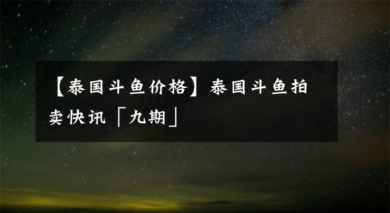 【泰国斗鱼价格】泰国斗鱼拍卖快讯「九期」