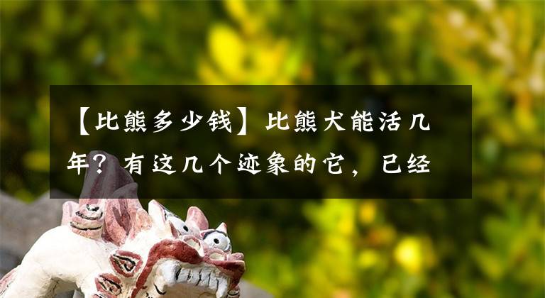 【比熊多少钱】比熊犬能活几年？有这几个迹象的它，已经算老年狗了