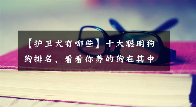 【护卫犬有哪些】十大聪明狗狗排名,看看你养的狗在其中吗?