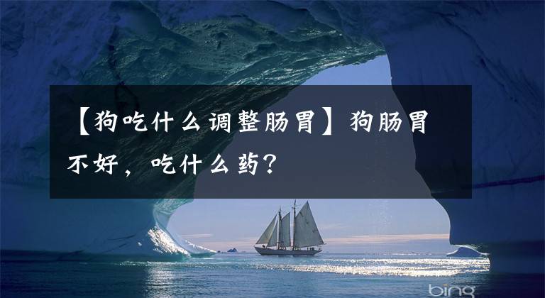 【狗吃什么调整肠胃】狗肠胃不好，吃什么药？