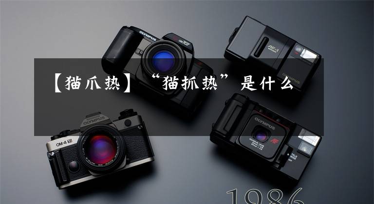 【猫爪热】“猫抓热”是什么