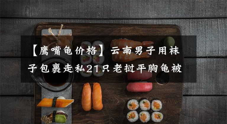 【鹰嘴龟价格】云南男子用袜子包裹走私21只老挝平胸龟被查获