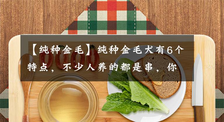 【纯种金毛】纯种金毛犬有6个特点，不少人养的都是串，你家狗狗纯吗