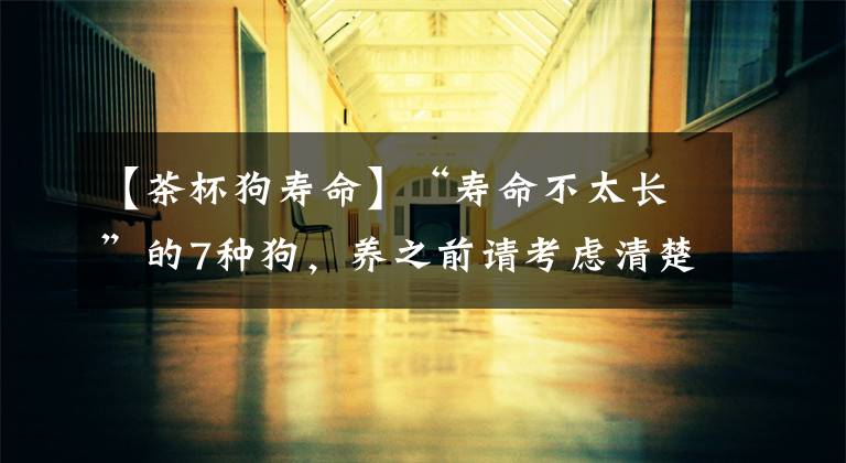 【茶杯狗寿命】“寿命不太长”的7种狗，养之前请考虑清楚
