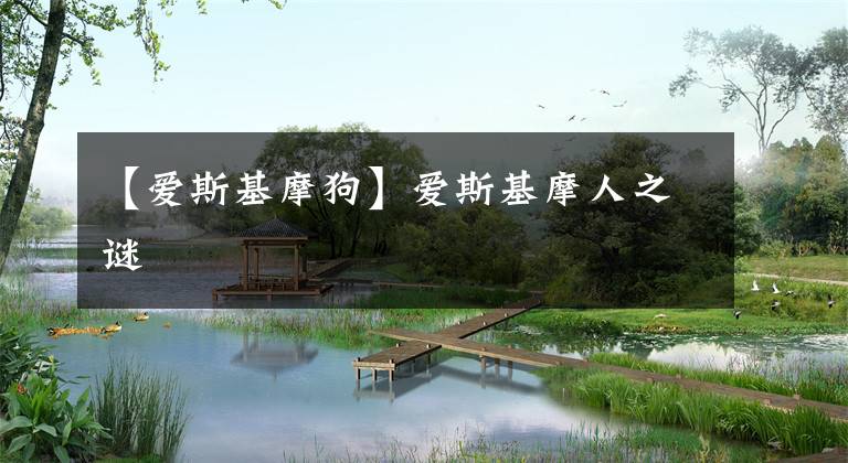 【爱斯基摩狗】爱斯基摩人之谜