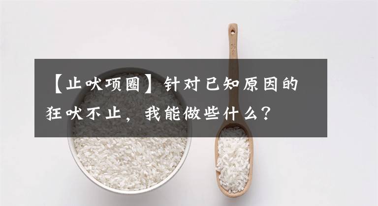 【止吠项圈】针对已知原因的狂吠不止，我能做些什么？