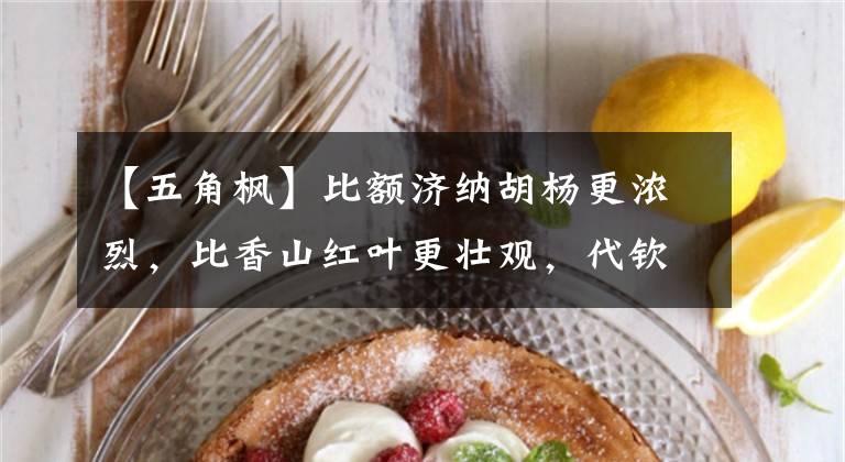 【五角枫】比额济纳胡杨更浓烈,比香山红叶更壮观,代钦塔拉五角枫秋色无边