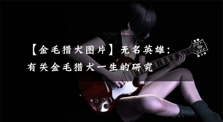 【金毛猎犬图片】无名英雄:有关金毛猎犬一生的研究
