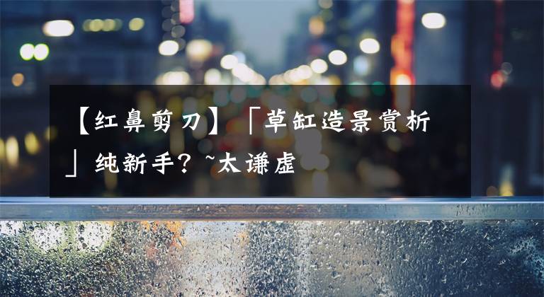 【红鼻剪刀】「草缸造景赏析」纯新手?~太谦虚