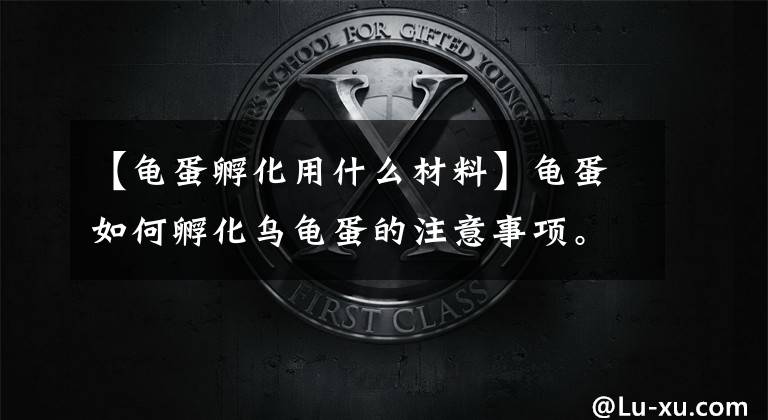【龟蛋孵化用什么材料】龟蛋如何孵化乌龟蛋的注意事项。