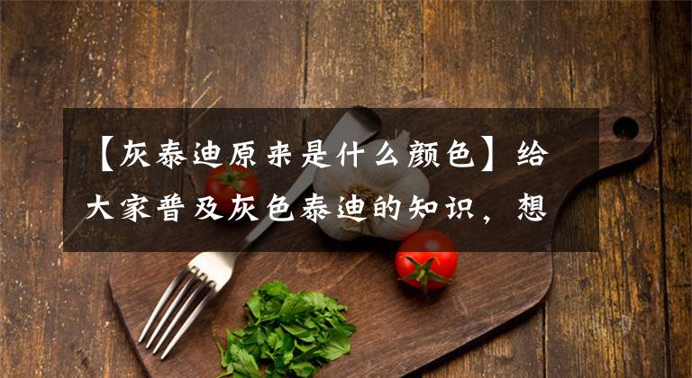 【灰泰迪原来是什么颜色】给大家普及灰色泰迪的知识,想买灰色泰迪的同学们先看看吧!