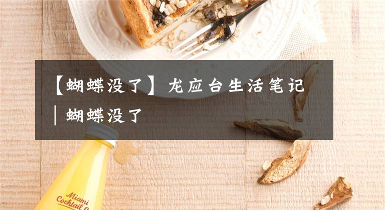 【蝴蝶没了】龙应台生活笔记｜蝴蝶没了