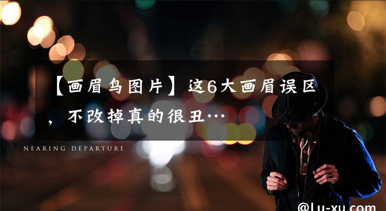 【画眉鸟图片】这6大画眉误区，不改掉真的很丑…