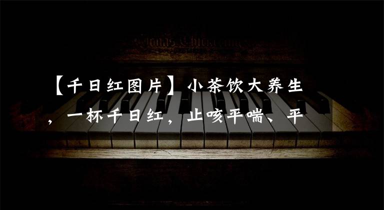 【千日红图片】小茶饮大养生,一杯千日红,止咳平喘、平肝明目!