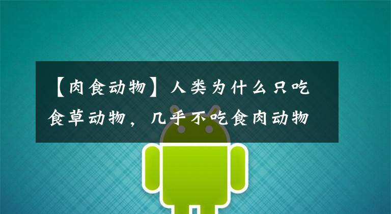 【肉食动物】人类为什么只吃食草动物，几乎不吃食肉动物？