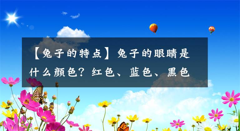 【兔子的特点】兔子的眼睛是什么颜色?红色、蓝色、黑色,还是灰色?
